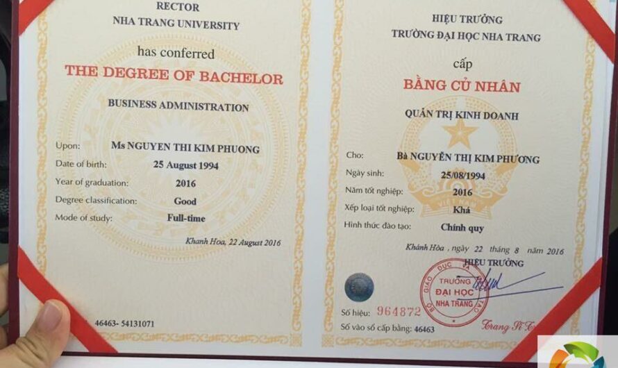 Làm bằng đại học tại Hà Nội chất lượng uy tín không cần đặt cọc