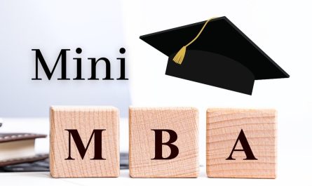 Mini MBA