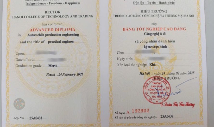 Bằng Cao Đẳng Công Nghệ Ô Tô Làm Kỹ Sư Dịch Vụ Được Không? Giải Đáp Chi Tiết Từ Chuyên Gia