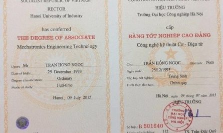 bằng cao đẳng công nghệ thông tin có dễ xin việc không