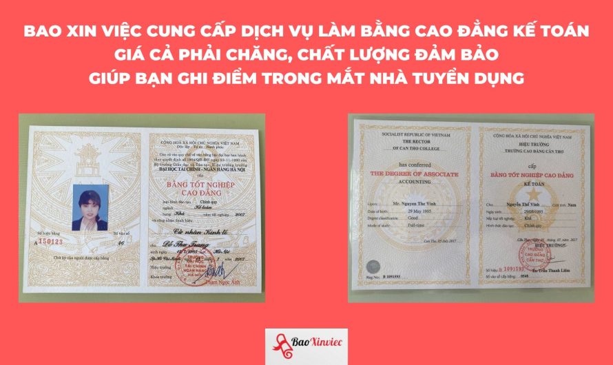Bằng cao đẳng kế toán có làm kế toán trưởng được không? Giải đáp chi tiết từ A-Z