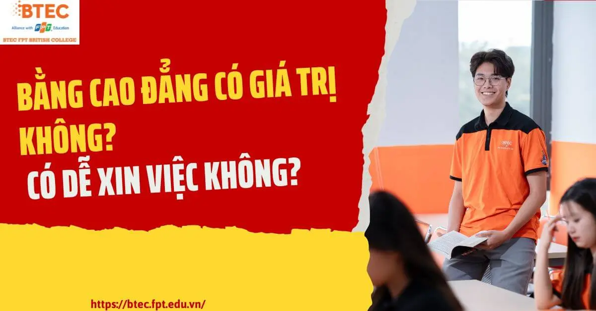 bằng cao đẳng logistics có dễ xin việc không - Hình 4