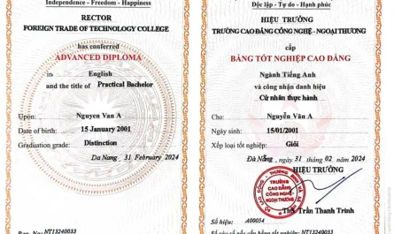 bằng cao đẳng logistics làm hãng tàu được không
