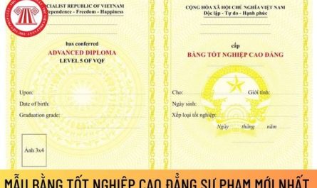 bằng cao đẳng luật có thi công chức được không