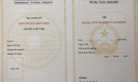 bằng cao đẳng luật làm doanh nghiệp được không