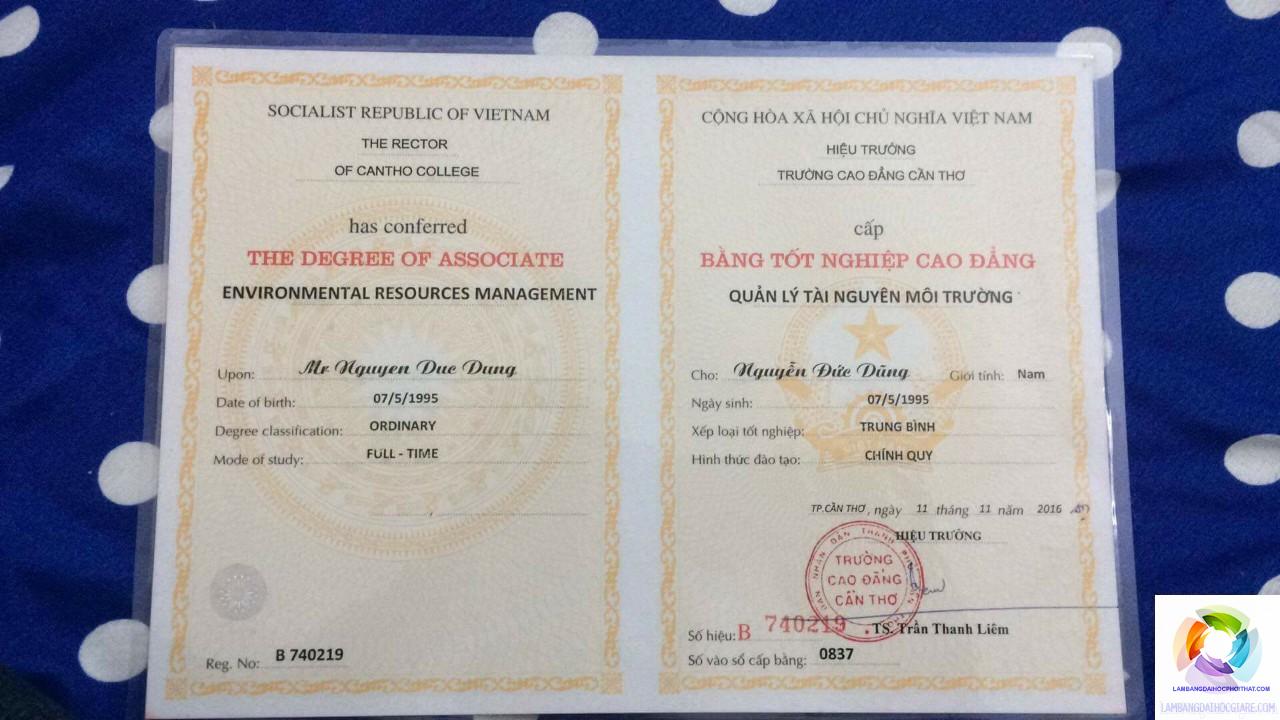 bằng cao đẳng marketing - Hình 2