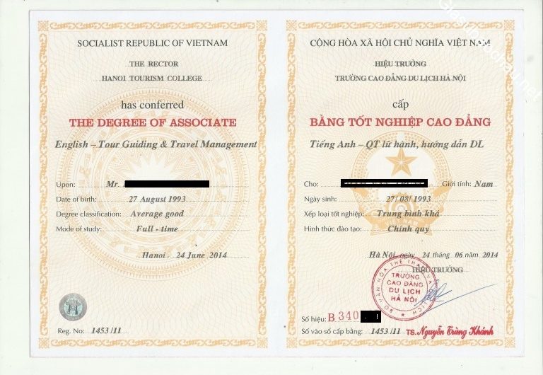 Bằng Cao Đẳng Ngôn Ngữ Anh: Tấm Vé Vàng Cho Sự Nghiệp Toàn Cầu