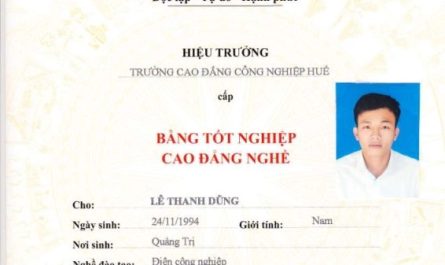 bằng cao đẳng ngôn ngữ anh làm phiên dịch được không
