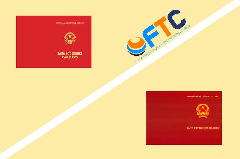 Bằng cao đẳng ngôn ngữ Anh ra làm gì? Cơ hội việc làm, mức lương và lộ trình phát triển