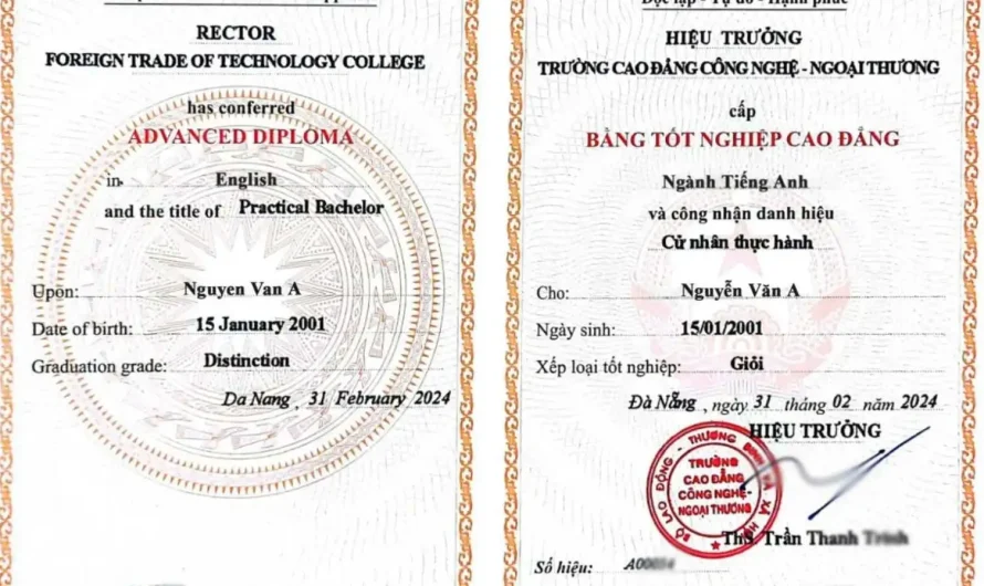 Bằng cao đẳng ngôn ngữ Trung: Cơ hội việc làm và lộ trình học tập chi tiết