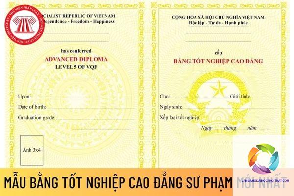 bằng cao đẳng sư phạm mầm non - Hình 4
