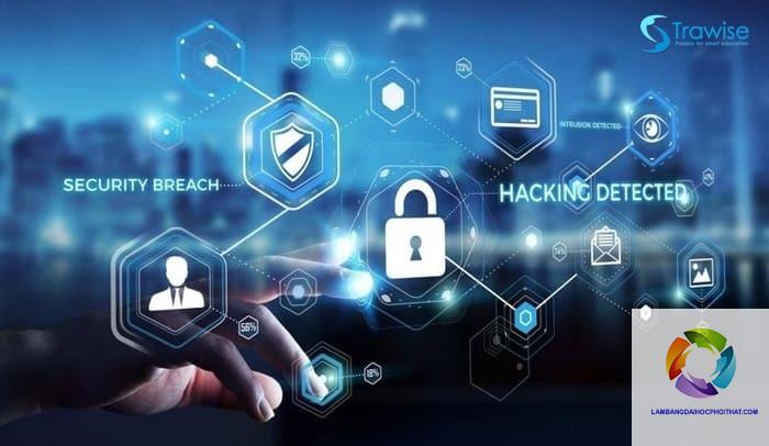 bằng đại học an toàn thông tin là gì - Hình 3