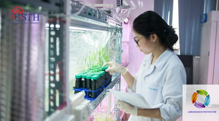 bằng đại học công nghệ sinh học có giá trị gì - Hình 3