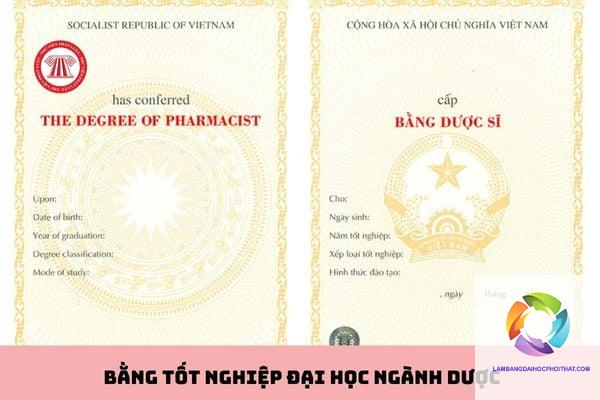 bằng đại học công nghệ sinh học làm dược được không