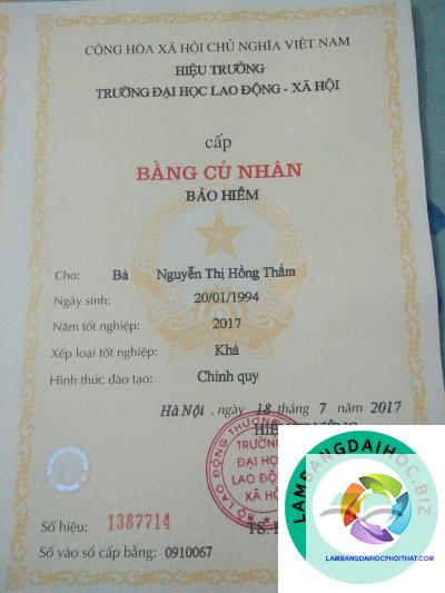 bằng đại học công tác xã hội ra làm gì - Hình 2