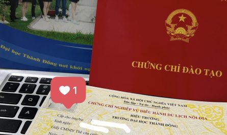 bằng đại học du lịch lữ hành làm điều hành tour được không