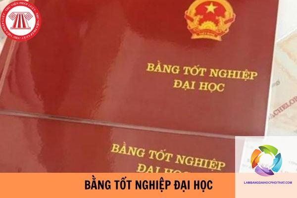 bằng đại học dùng để làm gì - Hình 3