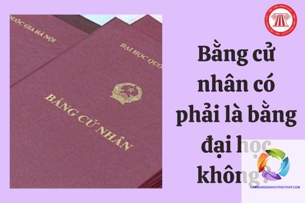 bằng đại học dùng để làm gì - Hình 4