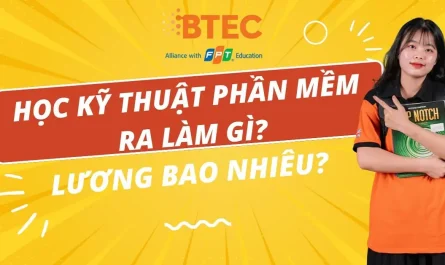 bằng đại học kỹ thuật phần mềm ra làm gì