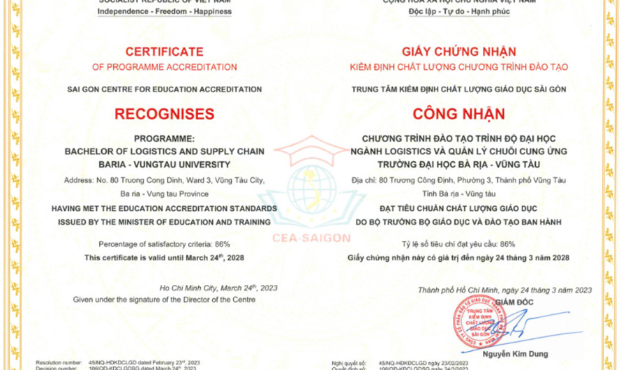 Bằng đại học logistics làm hãng tàu được không? Cơ hội và lộ trình chi tiết