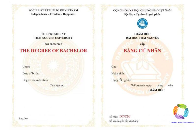 bằng đại học luật kinh tế có thi công chức được không - Hình 4