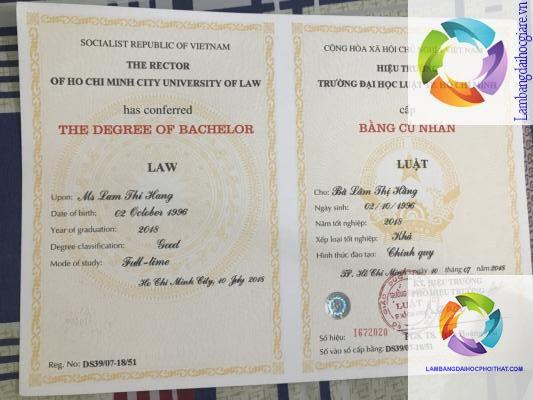 bằng đại học luật quốc tế học mấy năm - Hình 3