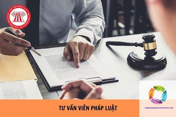bằng đại học luật quốc tế làm tư vấn pháp luật được không - Hình 3