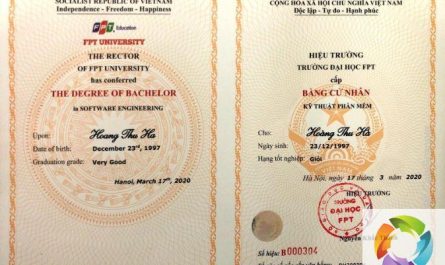 bằng đại học ngành công nghệ thông tin có giá trị gì