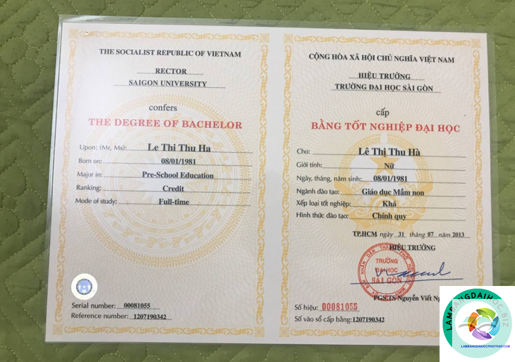 bằng đại học ngành công nghệ thông tin làm ai được không