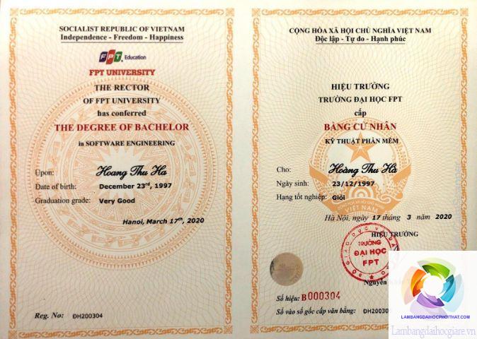 bằng đại học ngành công nghệ thông tin ra làm gì