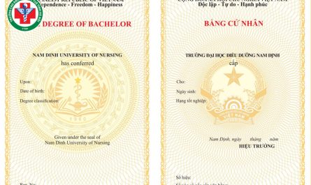 bằng đại học ngành điều dưỡng là gì