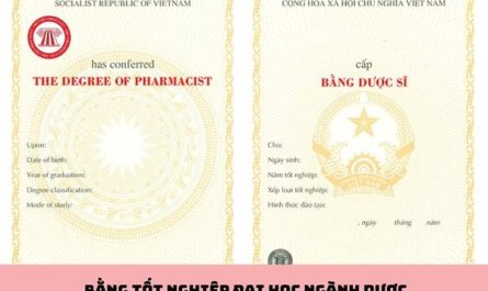bằng đại học ngành dược học mấy năm