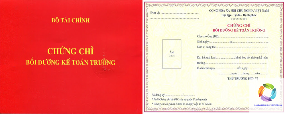 bằng đại học ngành kế toán làm kế toán trưởng được không