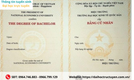 bằng đại học ngành luật có thi công chức được không
