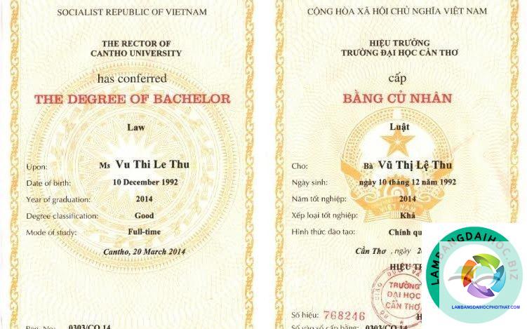 bằng đại học ngành luật học lên được gì - Hình 4