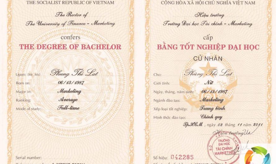 Bằng đại học ngành marketing là gì? Giải mã tấm vé vào ngành “hot” nhất thế kỷ 21