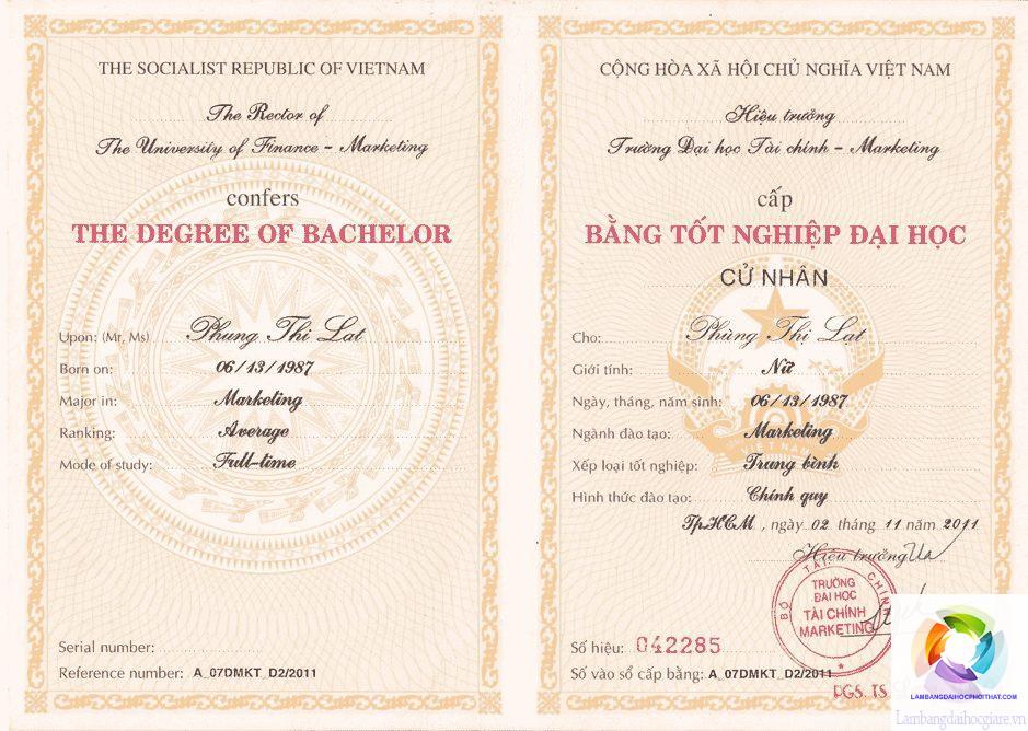 bằng đại học ngành marketing xin việc ở đâu - Hình 2
