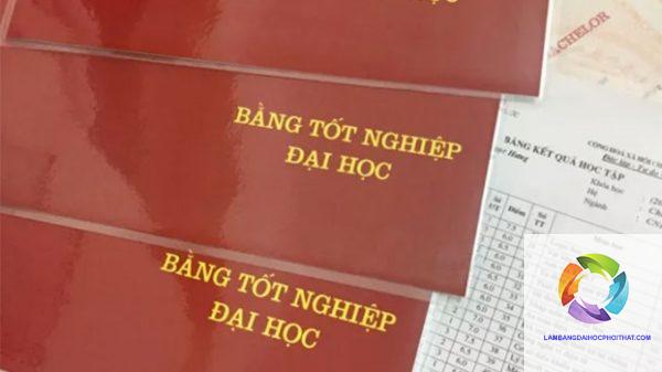 bằng đại học ngành tài chính ngân hàng làm ngân hàng được không - Hình 2