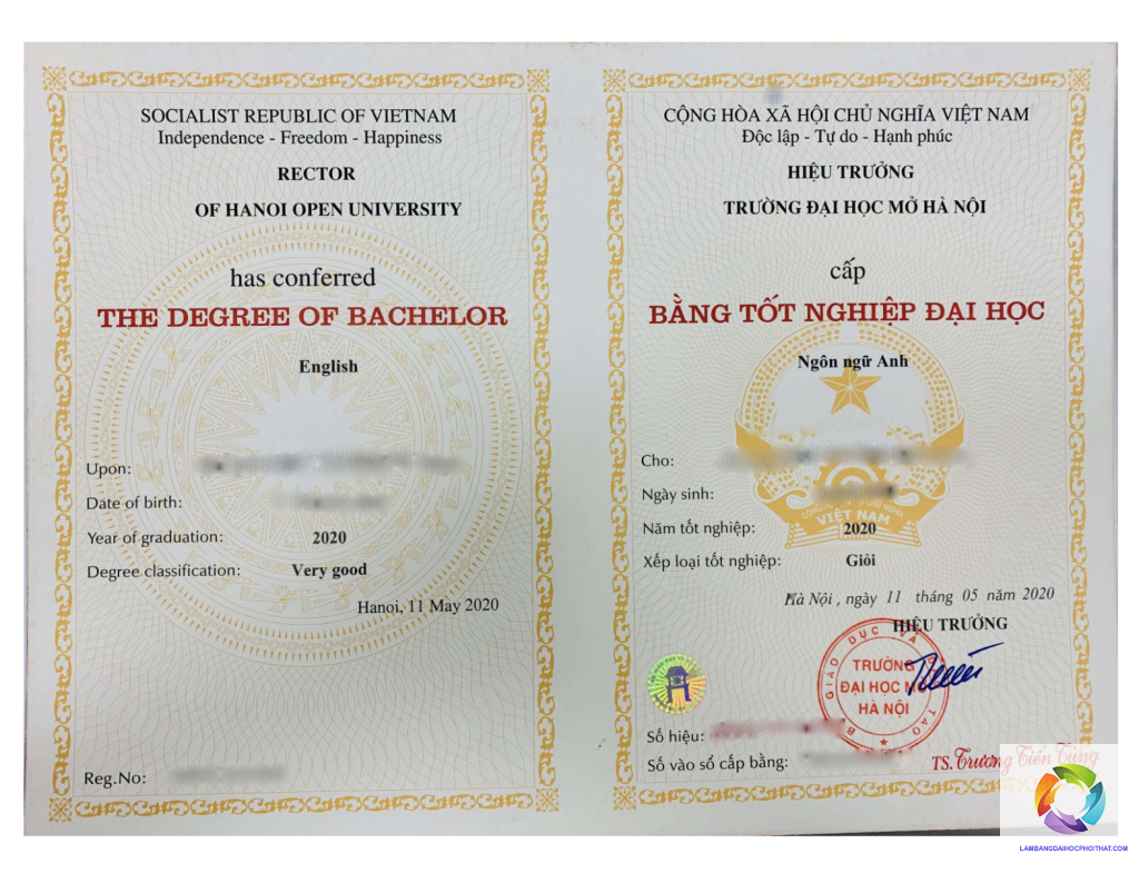 bằng đại học ngôn ngữ anh làm tiếp viên hàng không được không - Hình 3