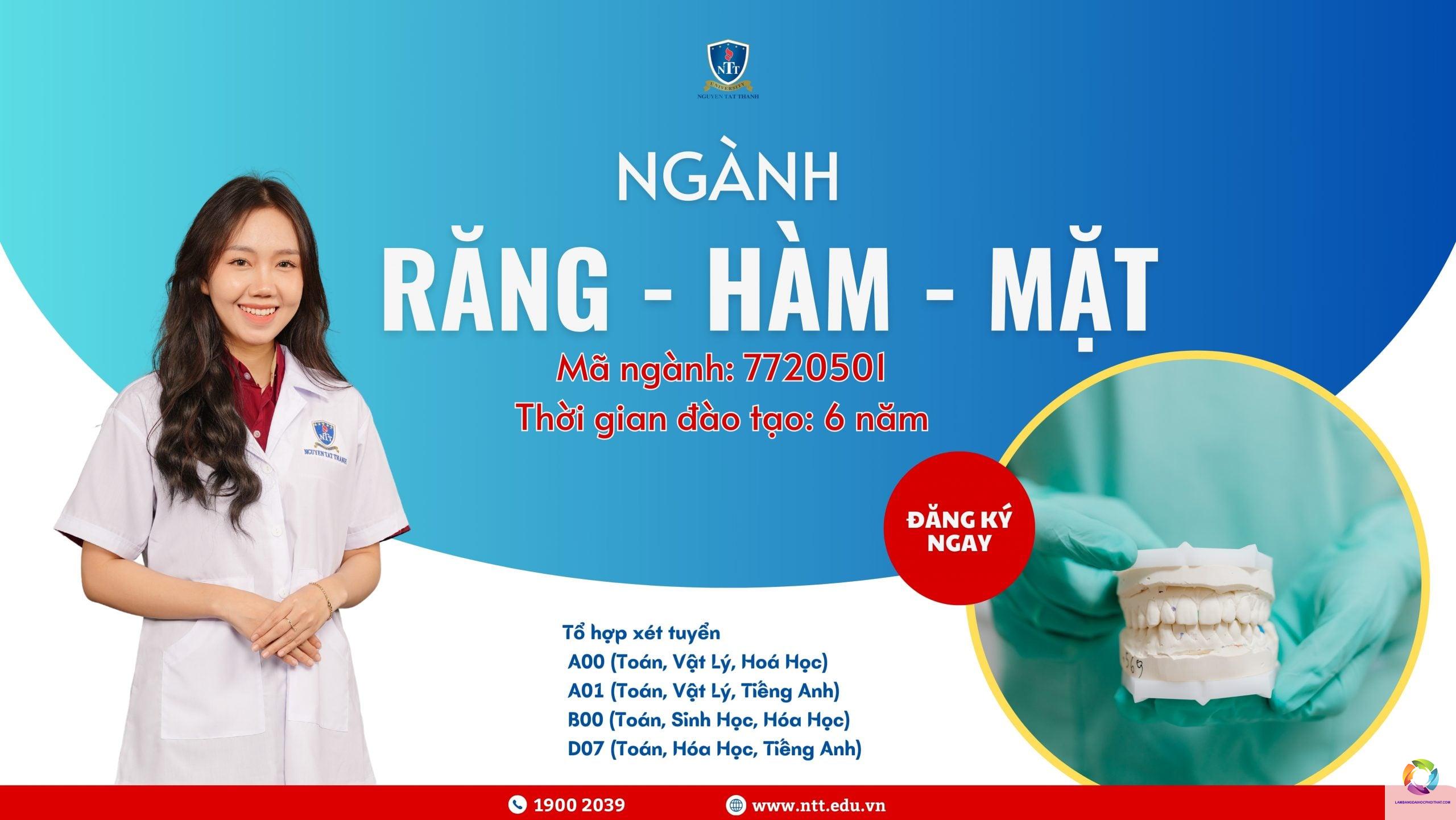 bằng đại học răng hàm mặt có đi nước ngoài được không - Hình 4