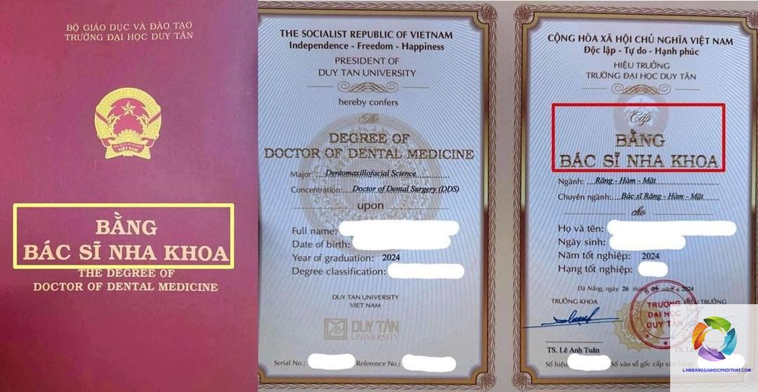 bằng đại học răng hàm mặt làm bệnh viện được không - Hình 2