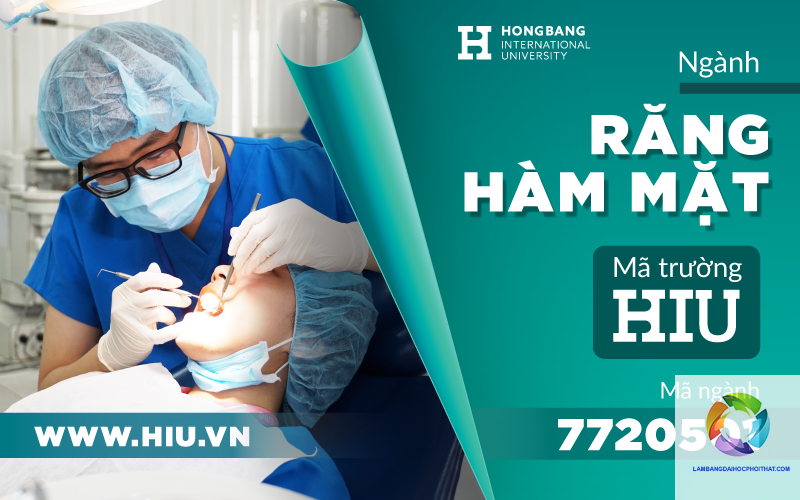 bằng đại học răng hàm mặt ra làm gì - Hình 2