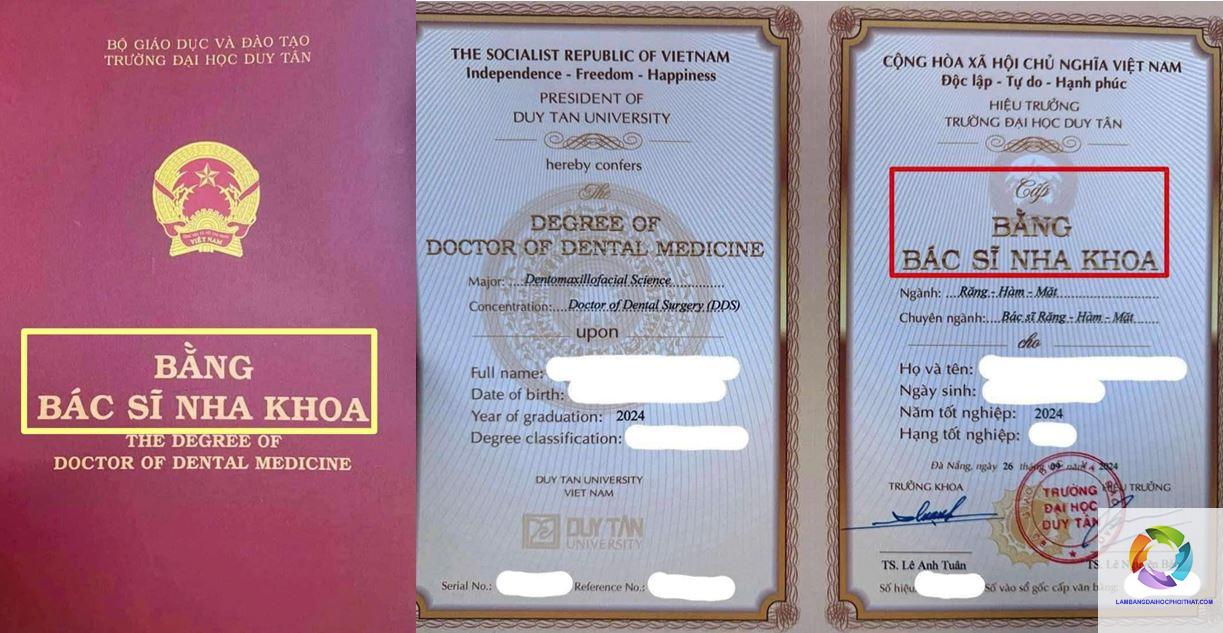 bằng đại học răng hàm mặt ra làm gì - Hình 4