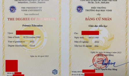 bằng đại học sư phạm tiểu học có thi viên chức được không