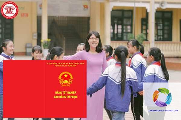 bằng đại học sư phạm tiểu học dạy trường công được không - Hình 5