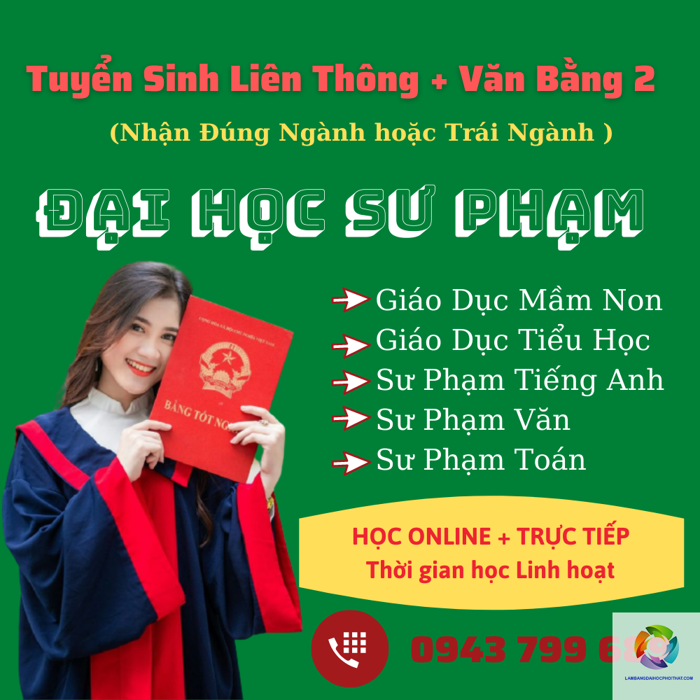 bằng đại học sư phạm tiểu học dạy trường tư được không - Hình 4