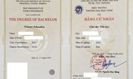 bằng đại học sư phạm tiểu học là gì