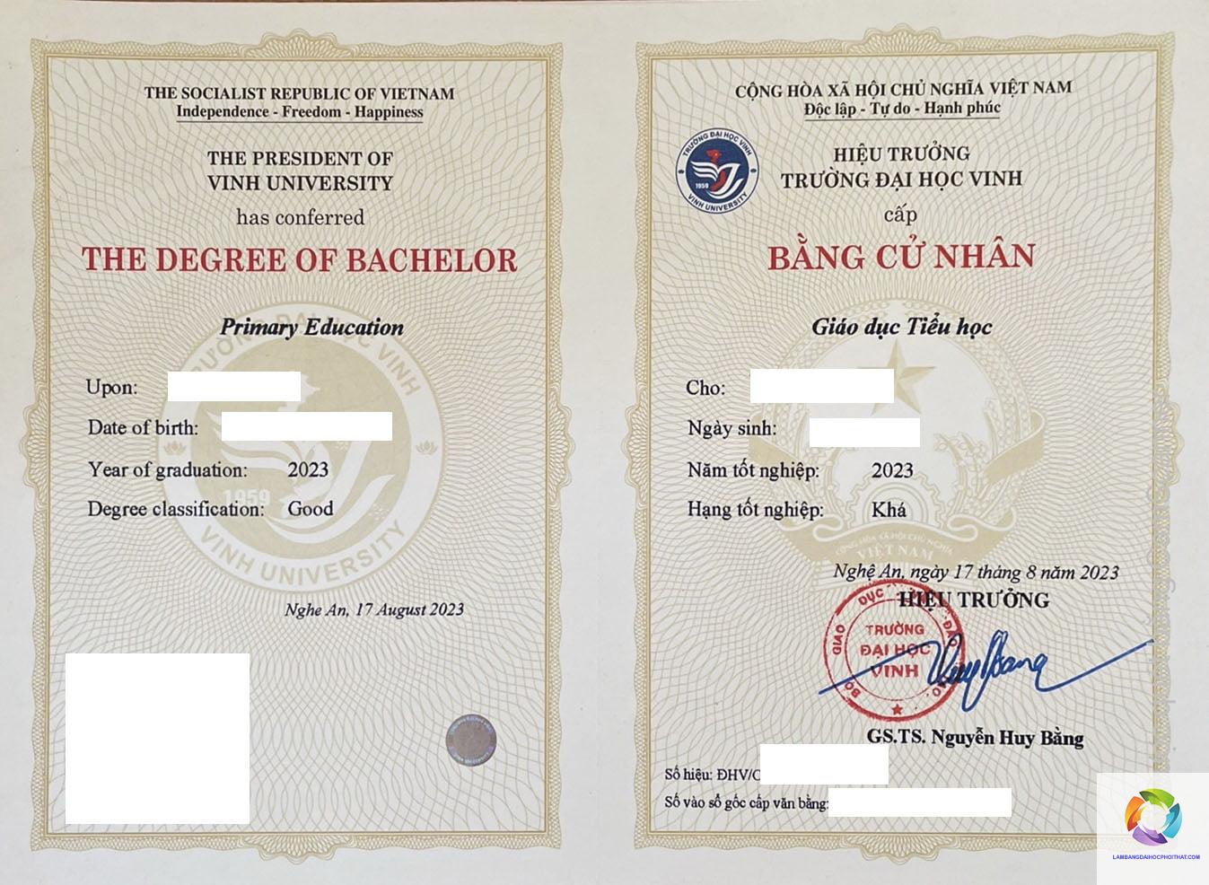 bằng đại học sư phạm tiểu học là gì - Hình 1