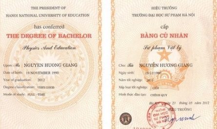 bằng đại học sư phạm tiểu học ra làm gì