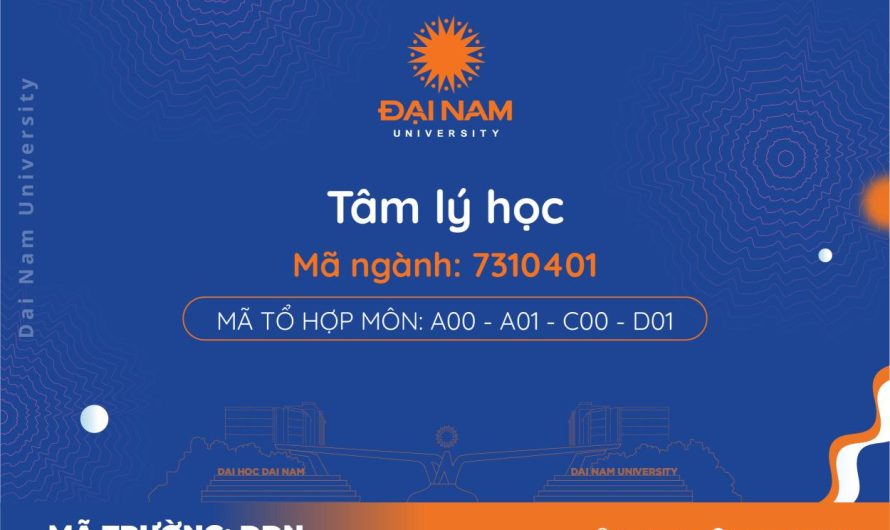 Bằng đại học tâm lý học lương bao nhiêu? Bảng lương chi tiết cho từng vị trí năm 2025